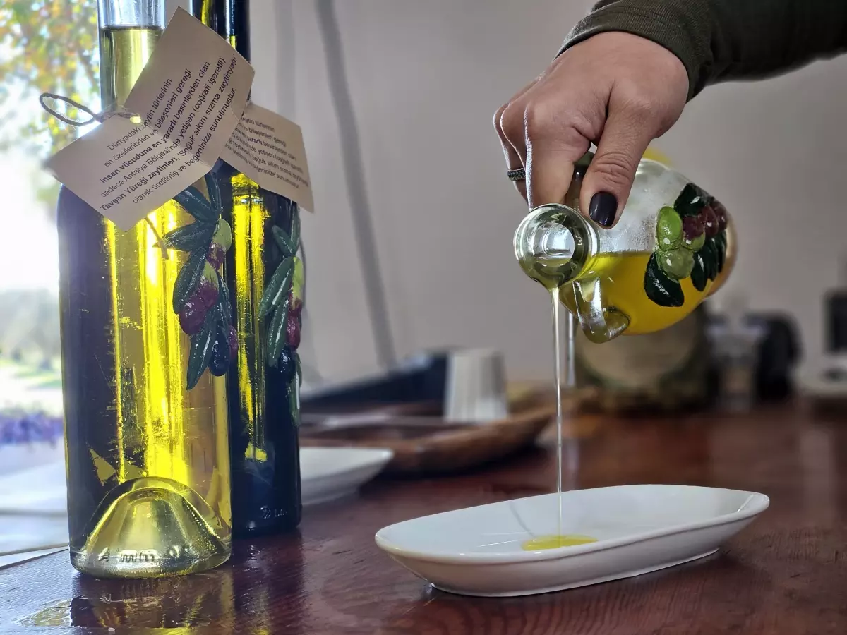 Antalya'da Tavşan Yüreği Zeytinyağı Litresi 1500 TL