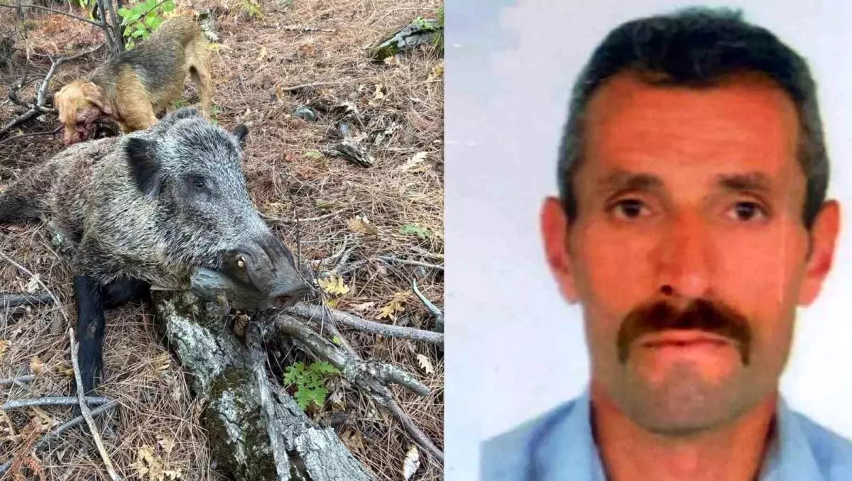 Erzincan'da domuzun saldırısına uğrayan avcı öldü