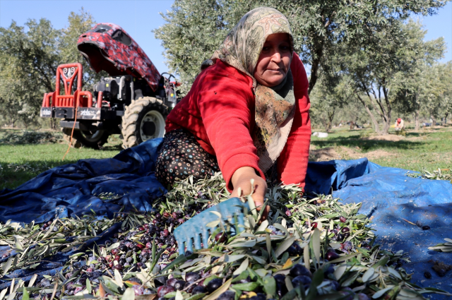 muhtar fabrika kurup tum mahalleyi ise aldi 19355761 1481 m
