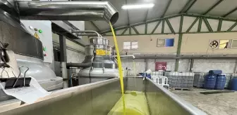 Muhtar fabrika kurup tüm mahalleyi işe aldı! Suudi Arabistan'a bile ihraç ediyor