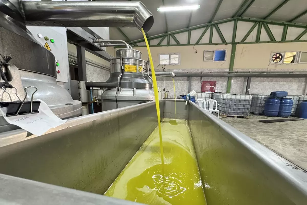 Muhtar fabrika kurup tüm mahalleyi işe aldı! Suudi Arabistan'a bile ihraç ediyor