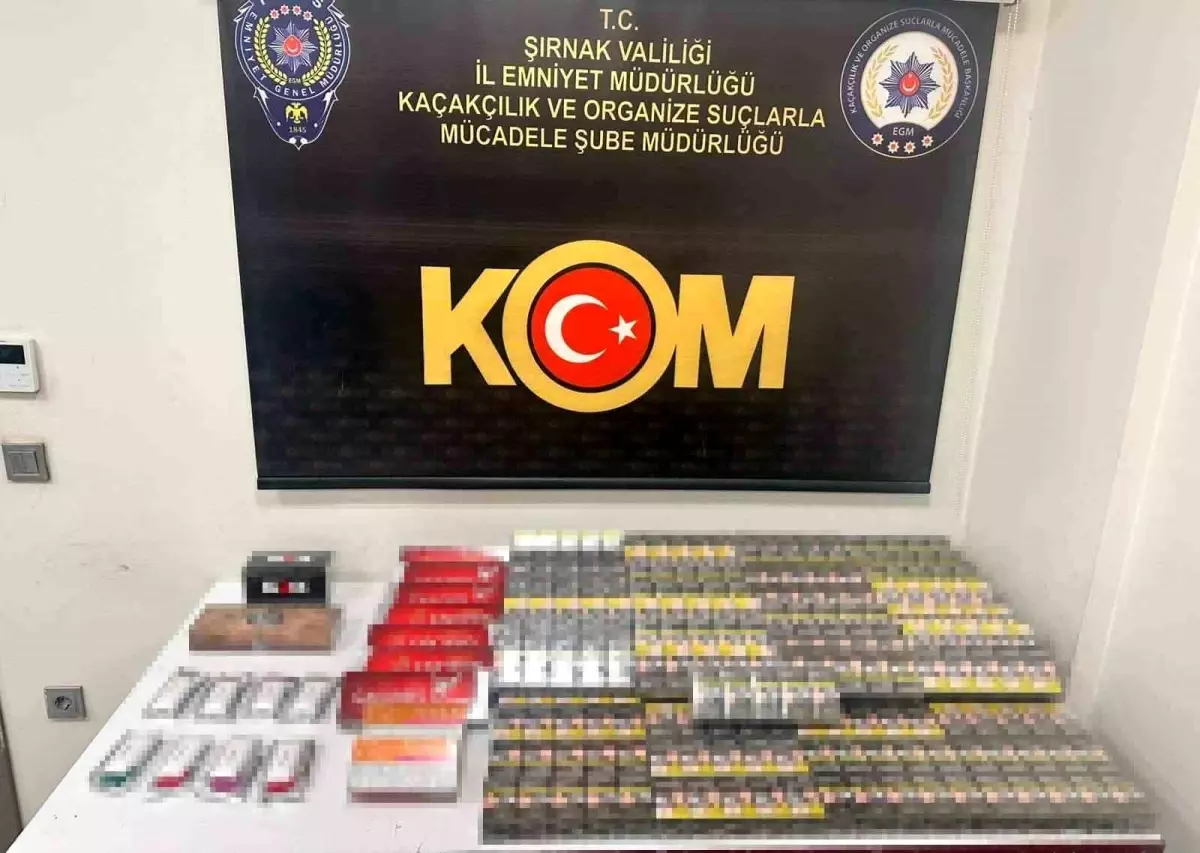 Şırnak'ta kaçakçılık ve narkotik operasyonu