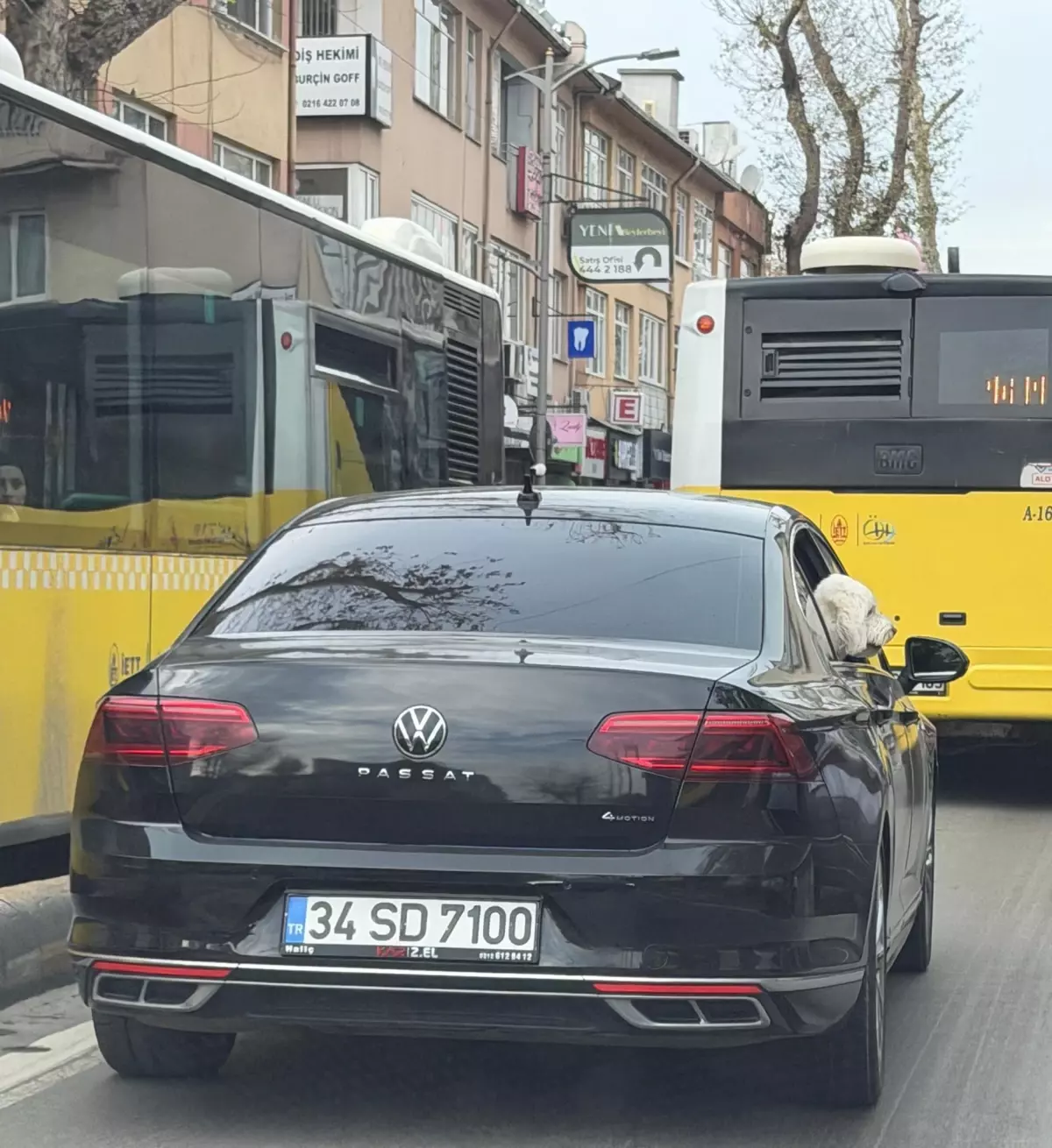 Üsküdar'da yeni başkan eski başkanın makam aracını köpeğine tahsis etti iddiası