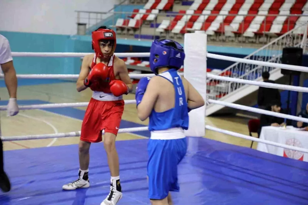 Ağrı'da Türkiye-İran-Nahçıvan Boks Dostluk Turnuvası nefes kesti