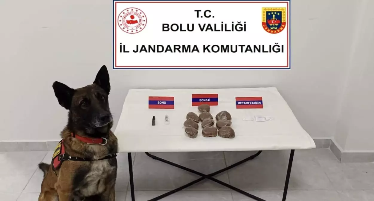 Bolu'da otomobilde zulalanmış uyuşturucuya 2 gözaltı