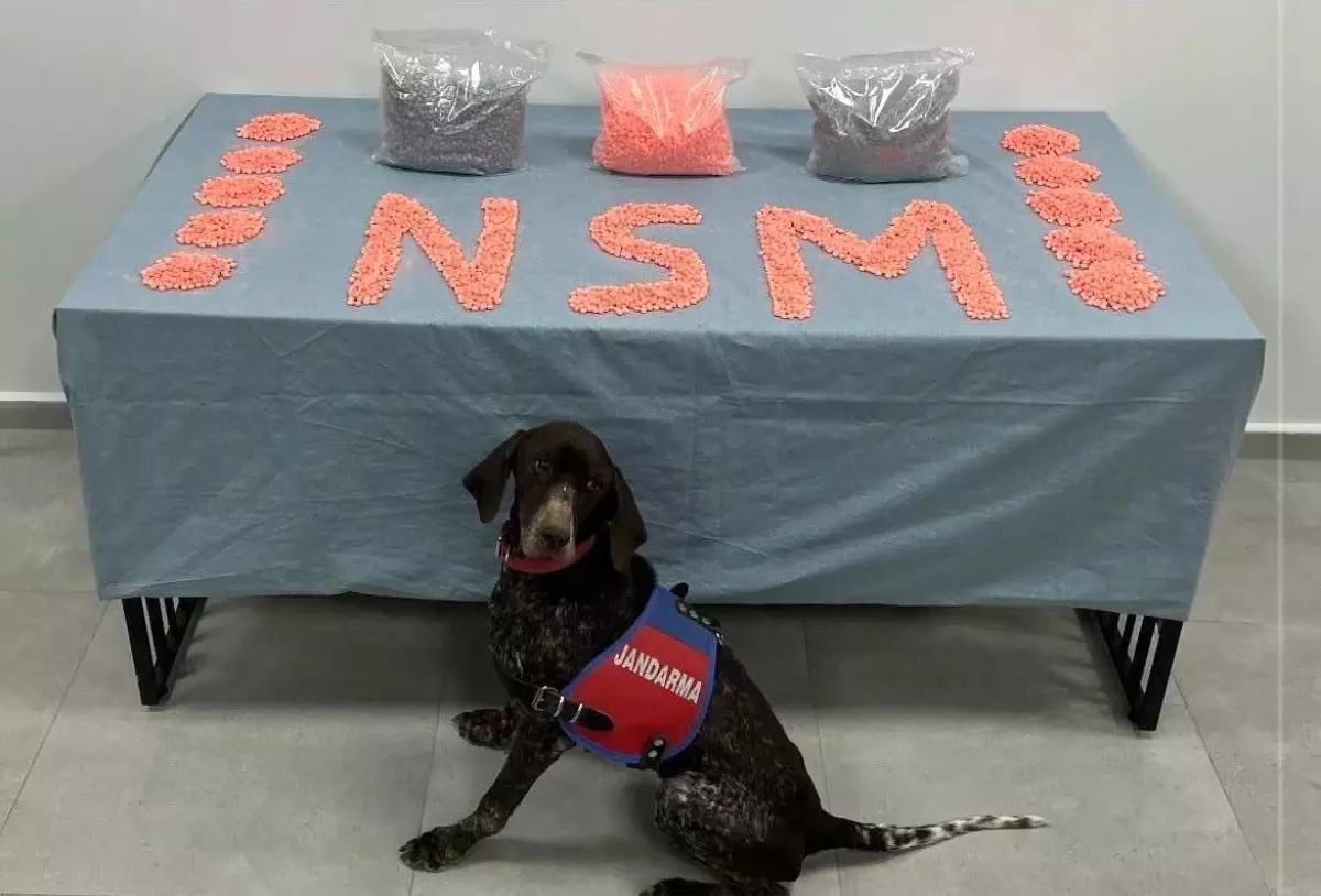 Denizli'de jandarma narkotik ekipleri zehir tacirlerine göz açtırmıyor