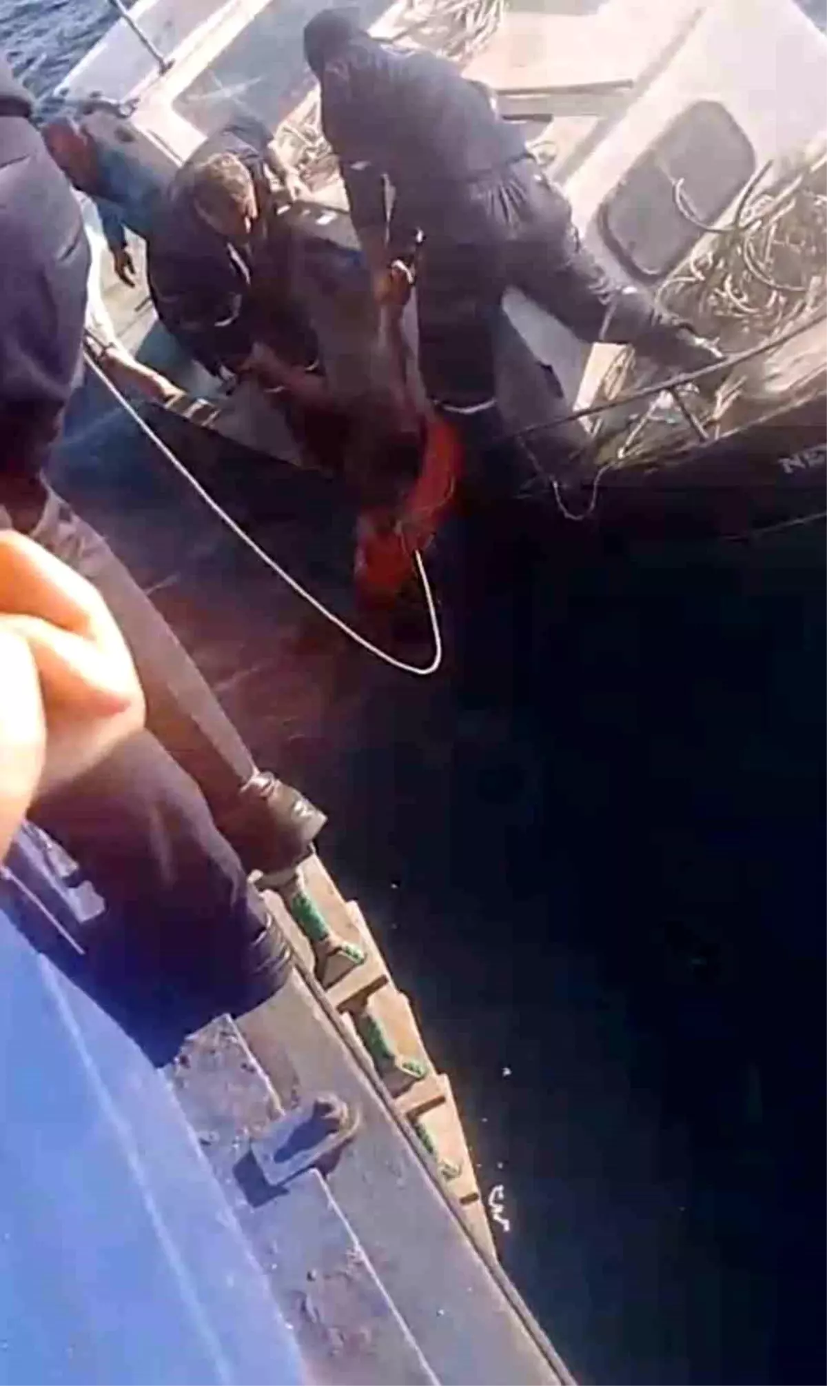 Feribottan atlayan kişiyi Gestaş personelleri ve balıkçılar kurtardı