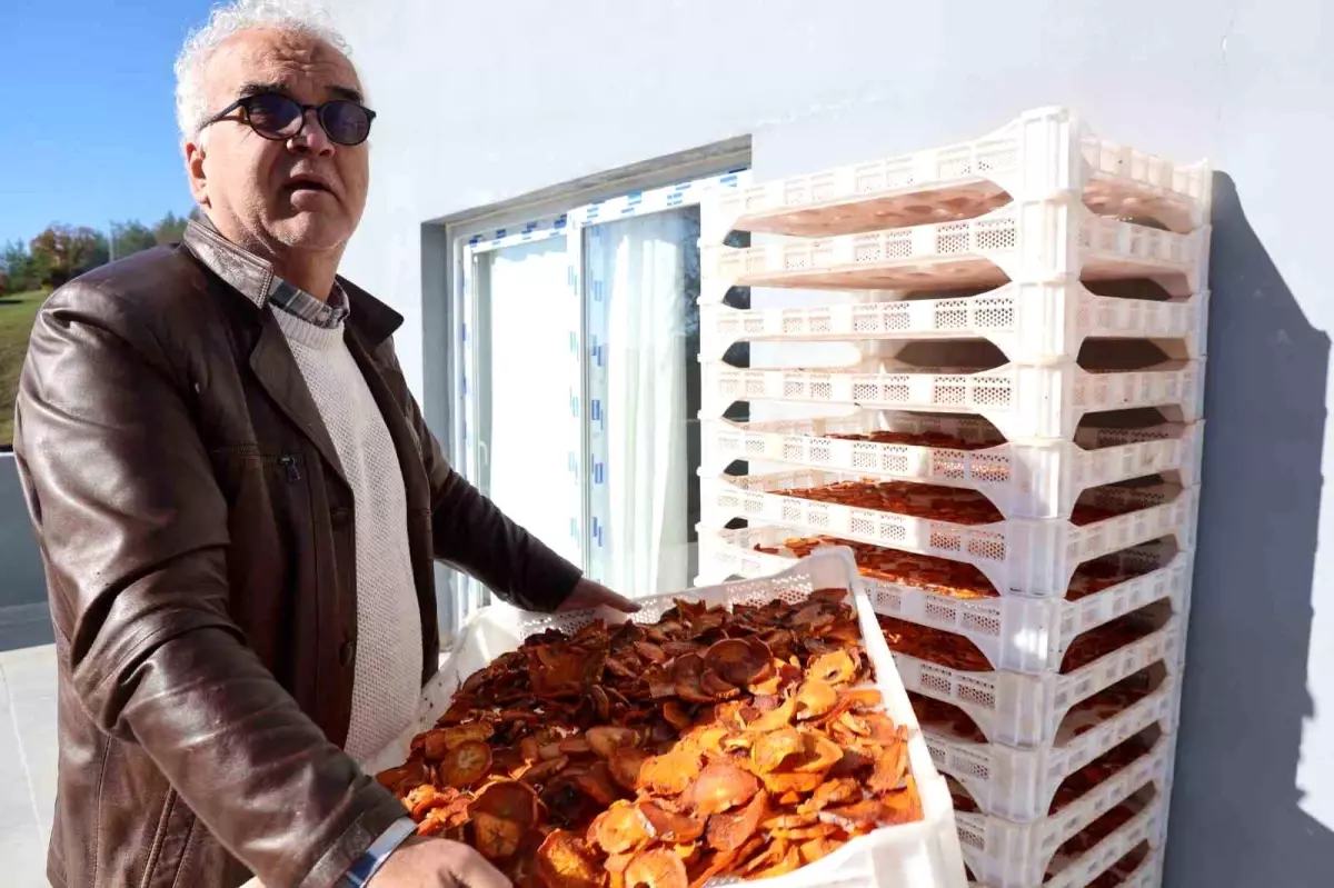 Köyde kurulan tesisle kurutulan cennet hurmaları Almanya'ya ihraç edildi