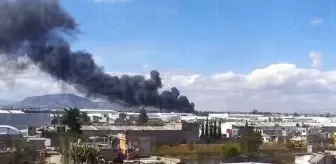 Meksika'da küçük uçağın düşmesi sonucu en az 7 kişi öldü