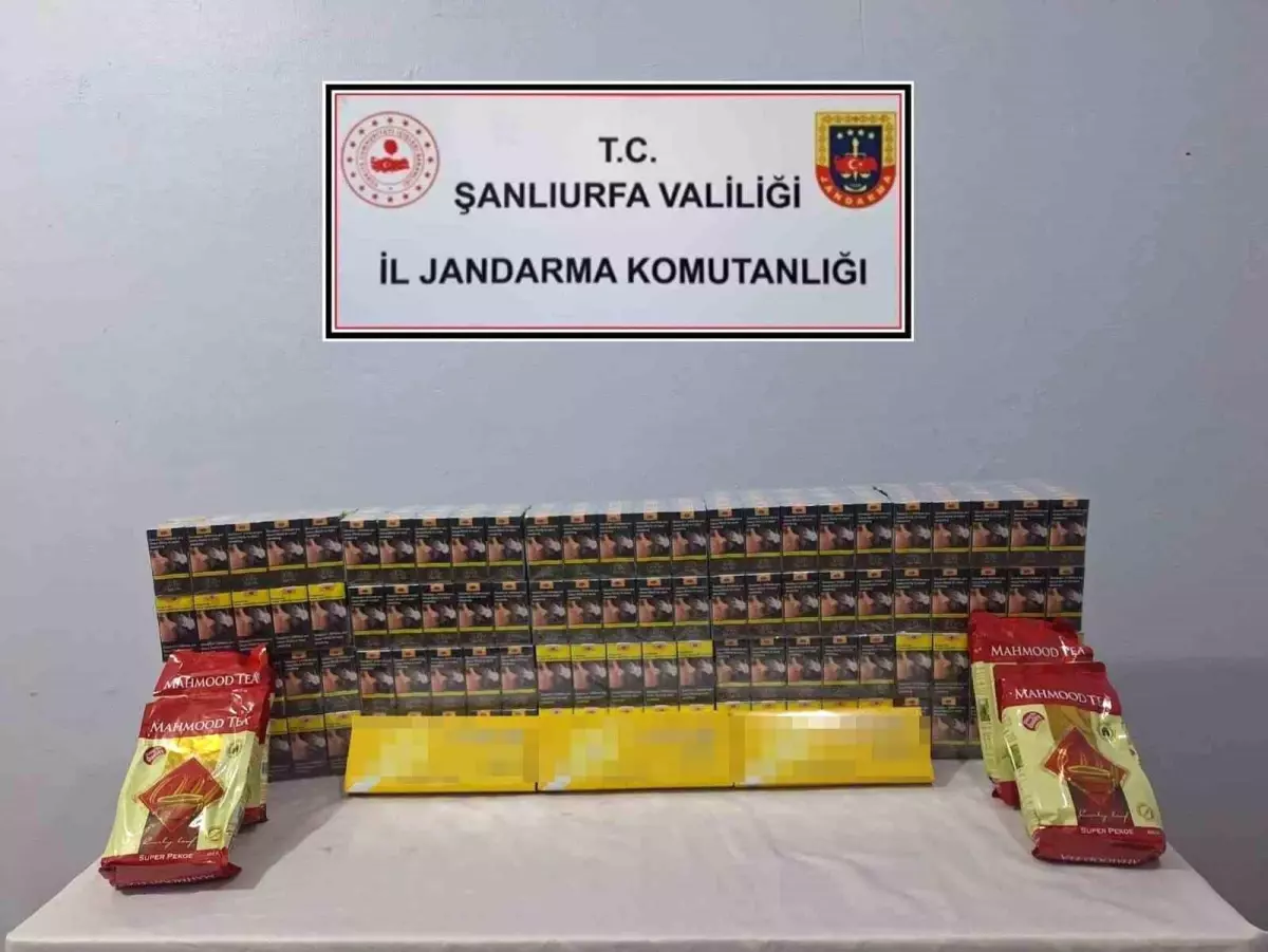 Şanlıurfa'da 5 bin paket kaçak sigara ele geçirildi