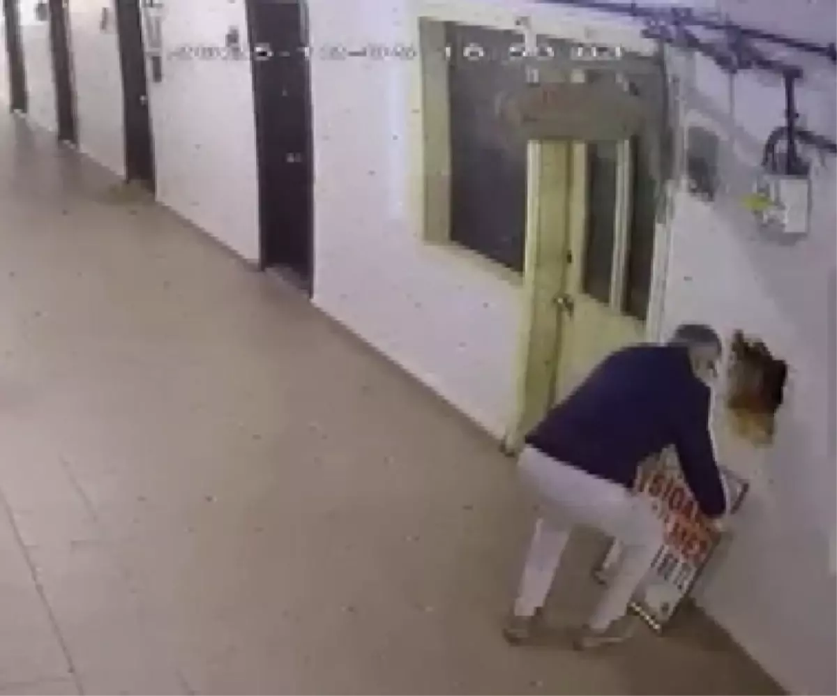 Tabelayı kaldırdı, serveti götürdü! Akılalmaz hırsızlık