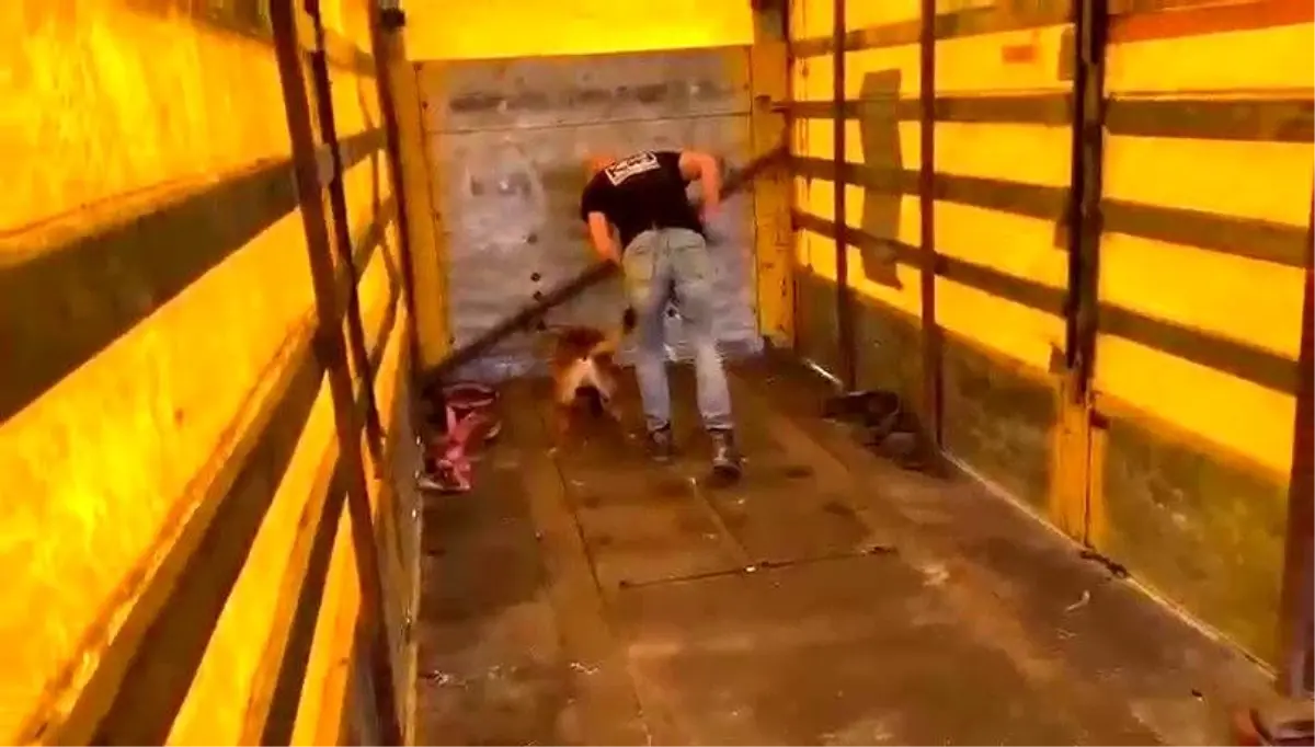 Tırın tabanına binlerce uyuşturucu hap sakladılar