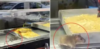 Börek tezgahında fareler cirit attı