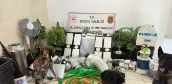 Düzce'de evinin çatı arasına kurduğu düzenekle uyuşturucu bitki yetiştiren şüpheli yakalandı