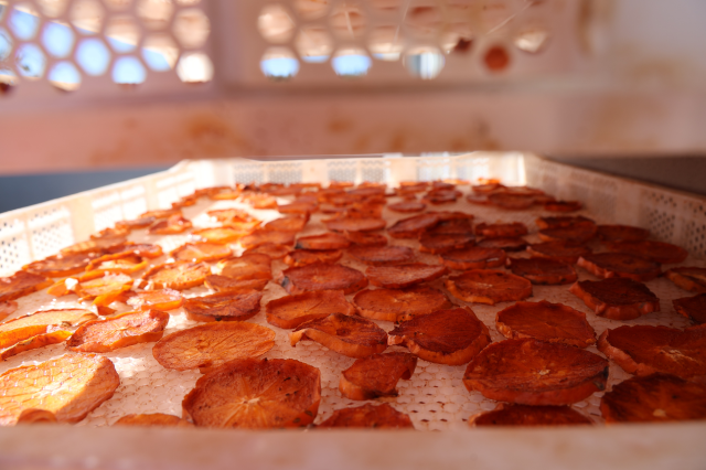 Heavenly dates dried in the facility established in the village were exported to Germany