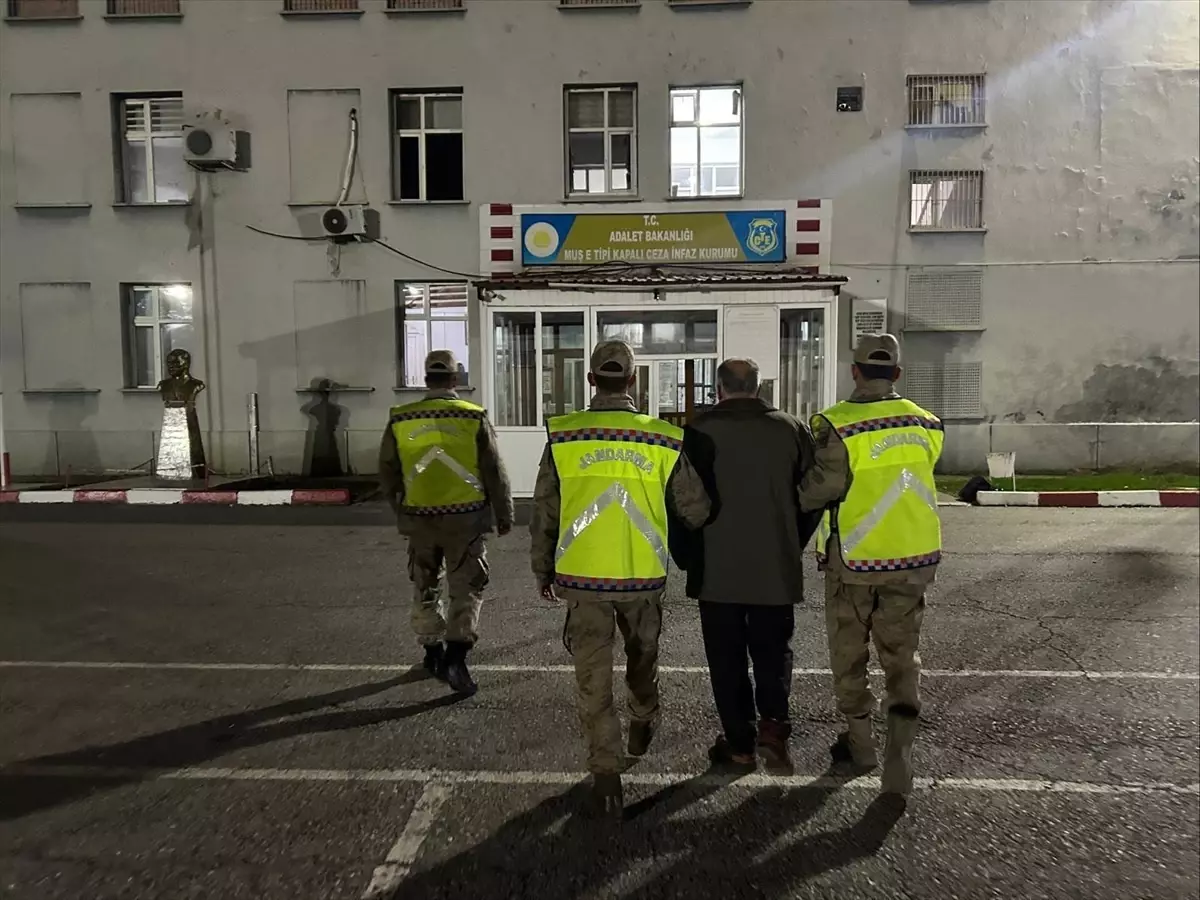 Muş'ta firari hükümlü yakalandı