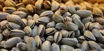 Resmi Gazete'de yayımlandı! Antep fıstığıyla ilgili önemli karar