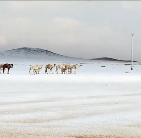 Arabistan'a kar yağdı mı? Arabistan'ın neresine kar yağdı , Kabe'ye Mekke'ye kar yağdı mı? Arabistan'a kar yağdı mı? Arabistan'ın neresine kar yağdı , Kabe'ye Mekke'ye kar yağdı mı?