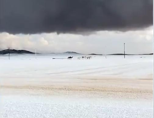 Arabistan'a kar yağdı mı? Arabistan'ın neresine kar yağdı , Kabe'ye Mekke'ye kar yağdı mı? Arabistan'a kar yağdı mı? Arabistan'ın neresine kar yağdı , Kabe'ye Mekke'ye kar yağdı mı?