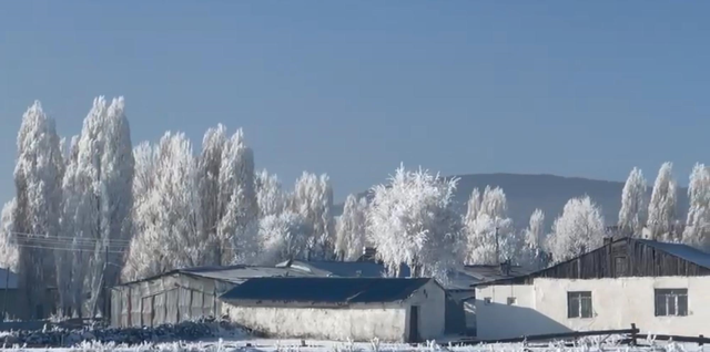 ardahan in gole ilcesi eksi 20 yi gordu agaclar 19368266 6891 m