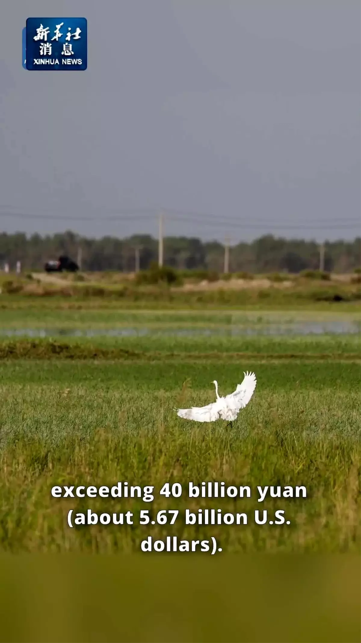 Çin'in Xinjiang Bölgesinde Su Koruma Projelerinin İnşasına 5,6 Milyar Dolar Yatırım Yapıldı