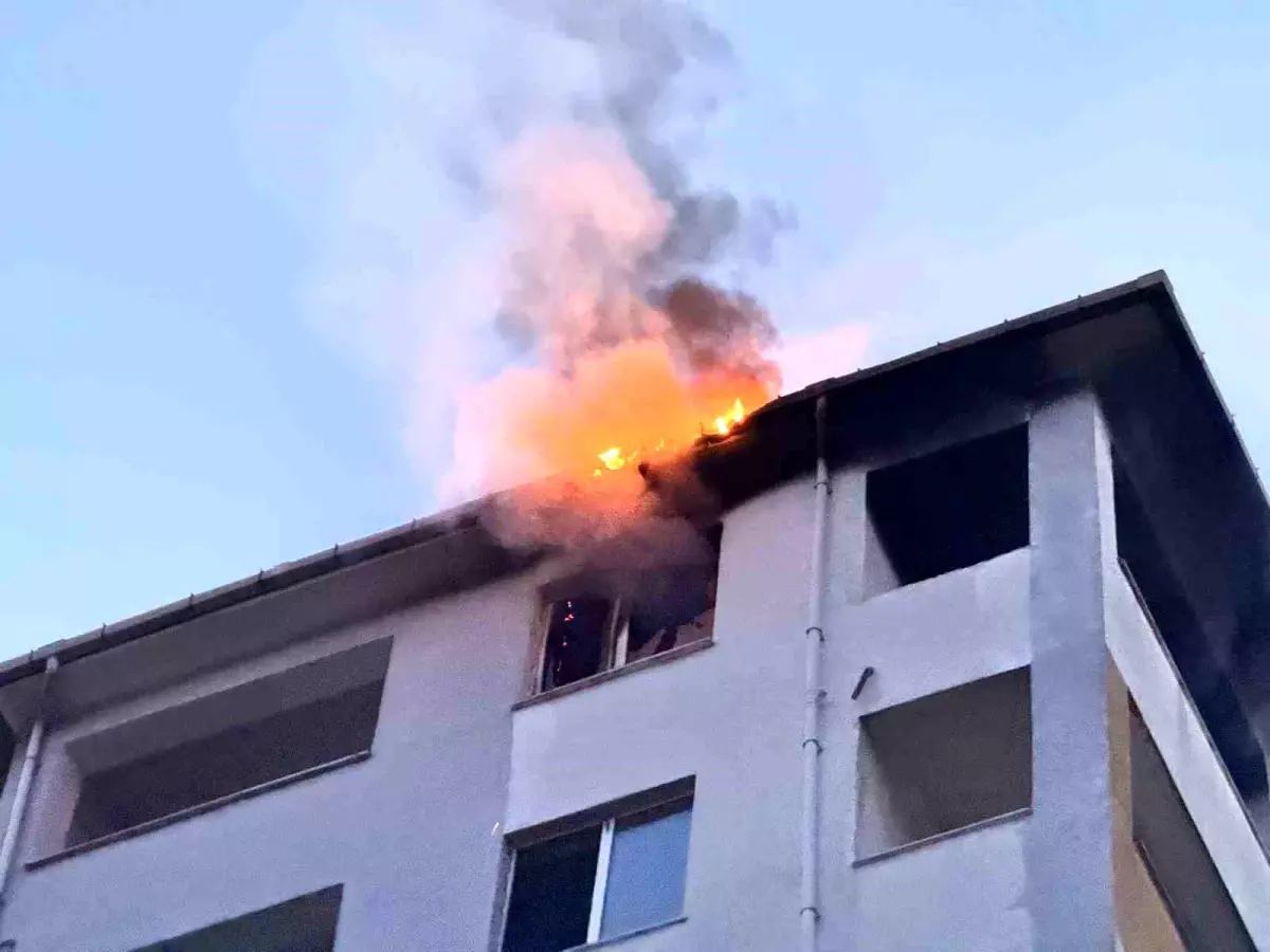 Edirne'de dairede çıkan yangın çatıya sıçradı