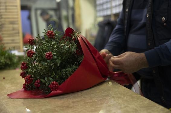 Kokina suya konulur mu?