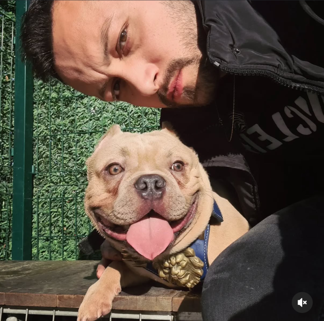 otomobilin yayalara carptigi faciada kahreden 19366555 2260 m