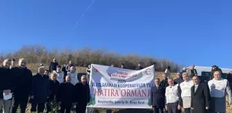 Samsun'da 'Uluslararası Kooperatifler Yılı' kapsamında hatıra ormanı oluşturuldu