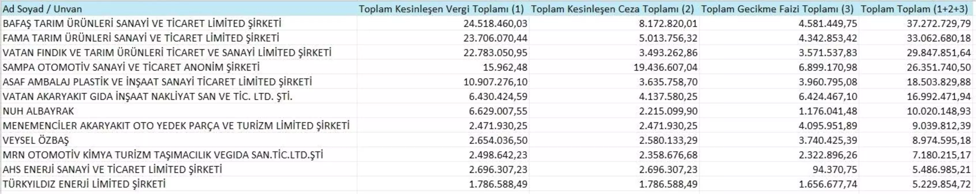 Samsun'un 'vergi yüzsüzleri' açıklandı
