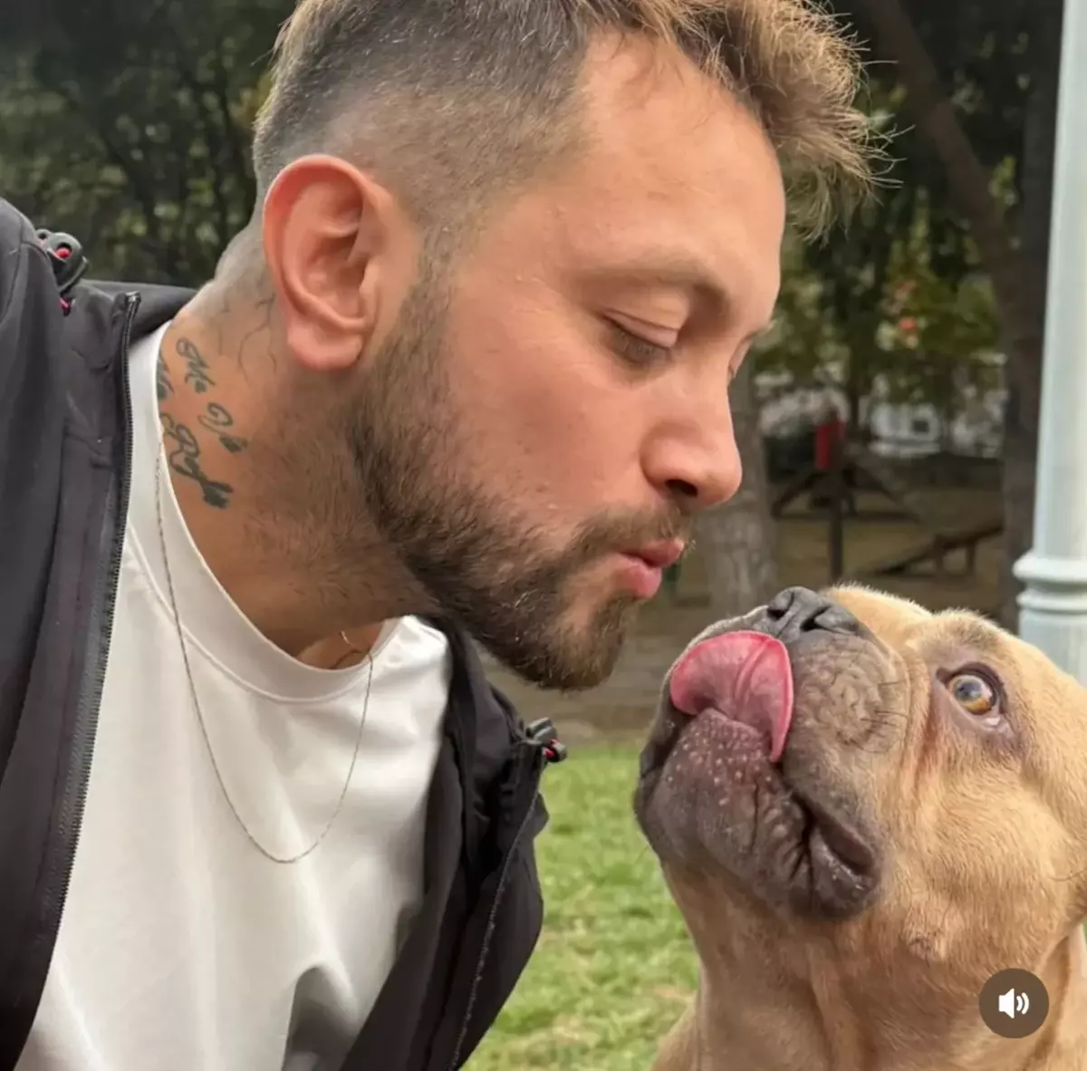 Şişli'de otomobilin yayalara çarptığı kazada ölenlerin isimleri belli oldu; köpeğini gezdirmeye çıkmış