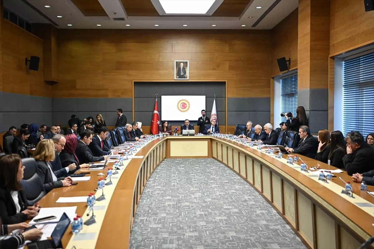 TBMM Engellilerin Sorunlarını Araştırma Komisyonu toplandı