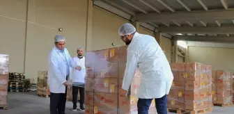 Vanlı arıcı Dubai'ye 16,5 ton petek bal gönderdi