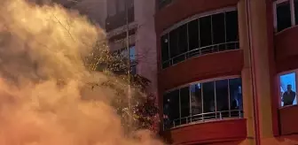 Yalova'da park edilirken yanan minibüs ile 3 araç zarar gördü