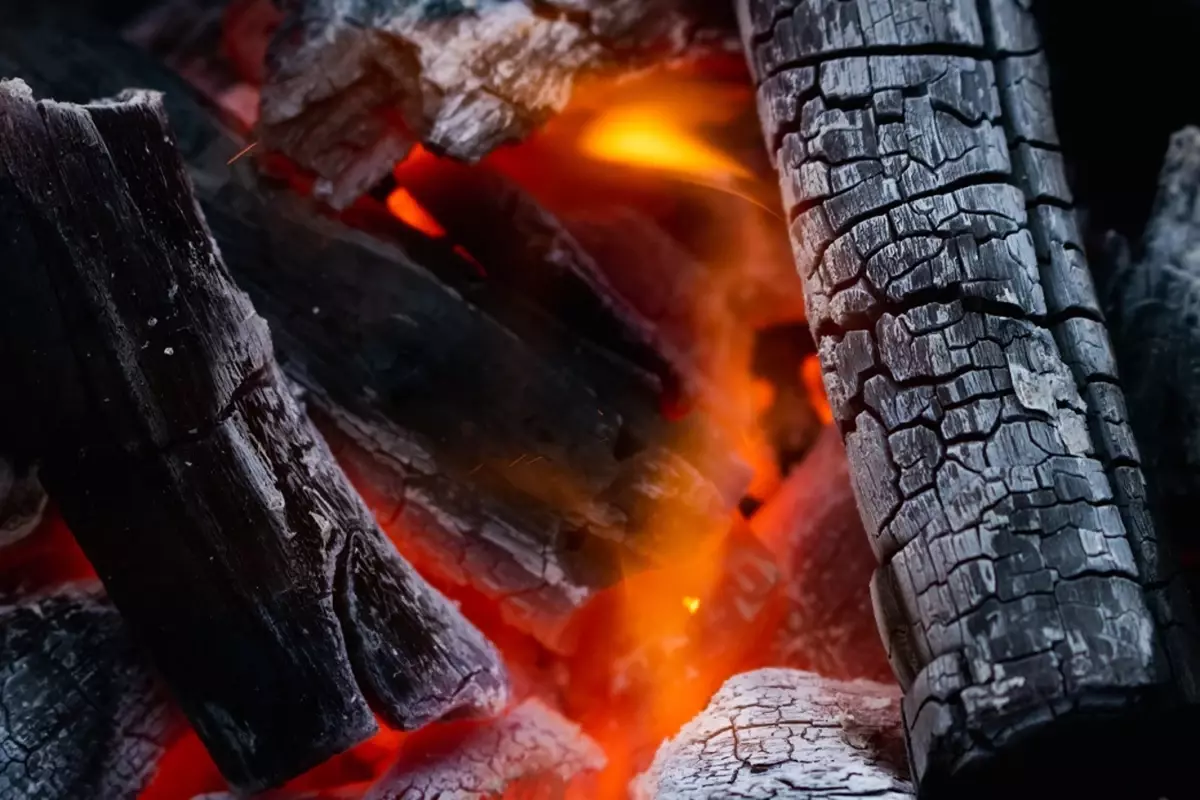 Bu resmen intihar! Mangal yakıp uyudular sonrası facia