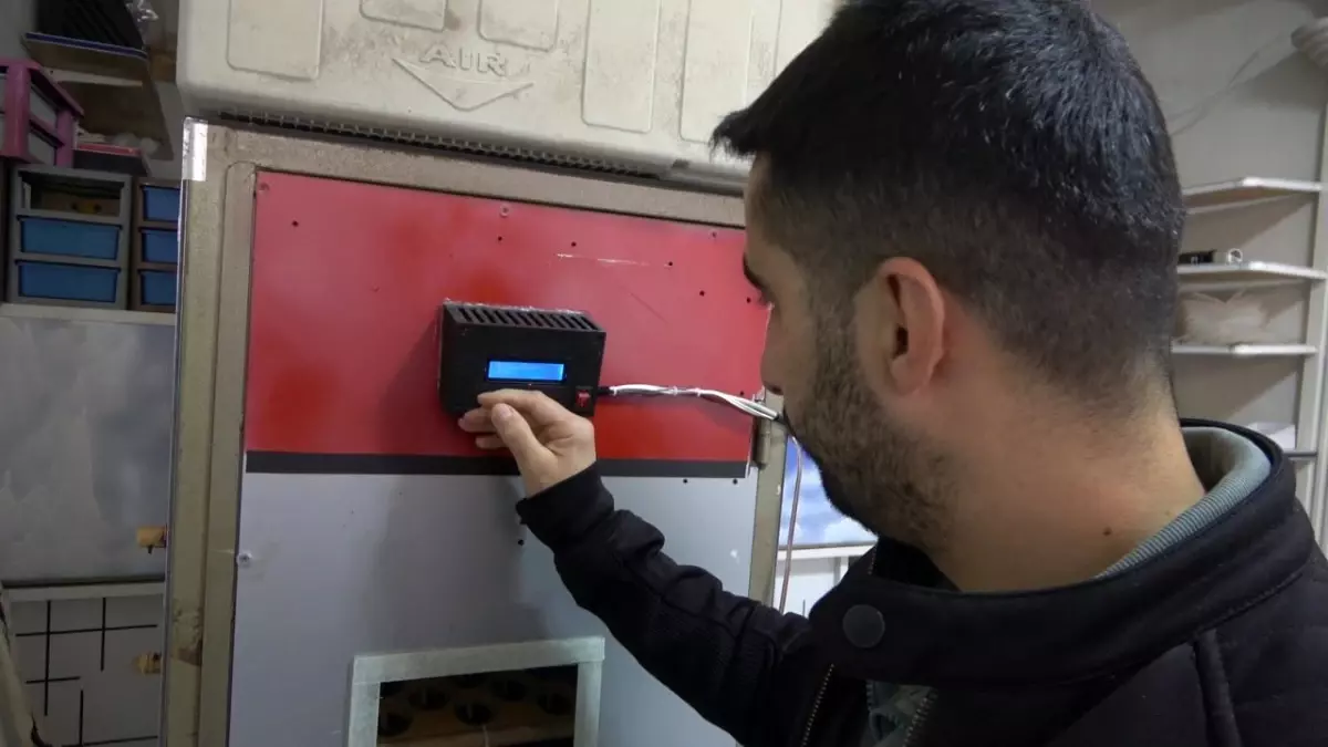 Elektrik mühendisi atık malzemelerden kuluçka makinesi yaptı