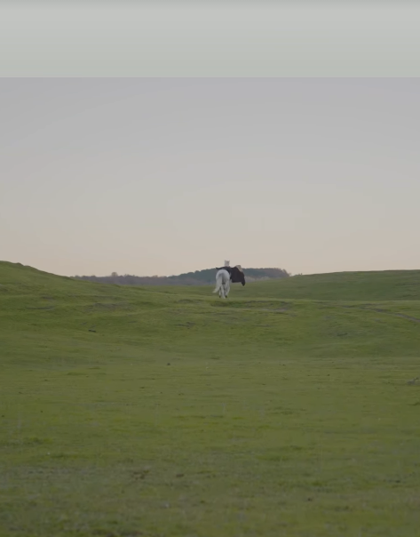 hayranlarini korkuttu aleyna kalaycioglu 19372468 3369 m