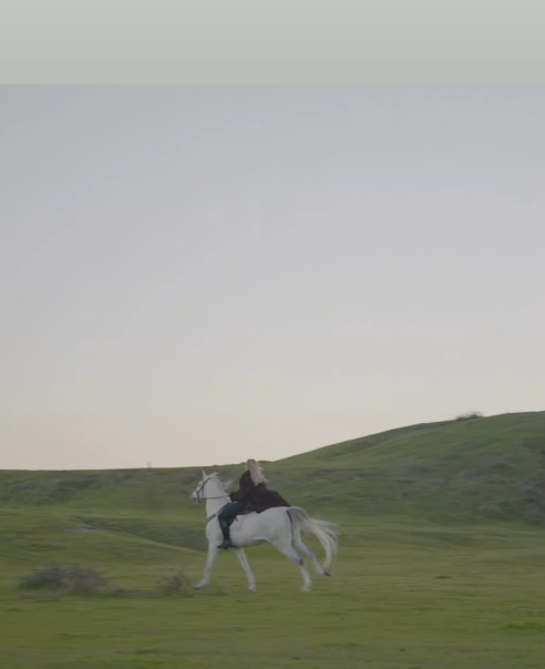 hayranlarini korkuttu aleyna kalaycioglu 19372468 5890 m