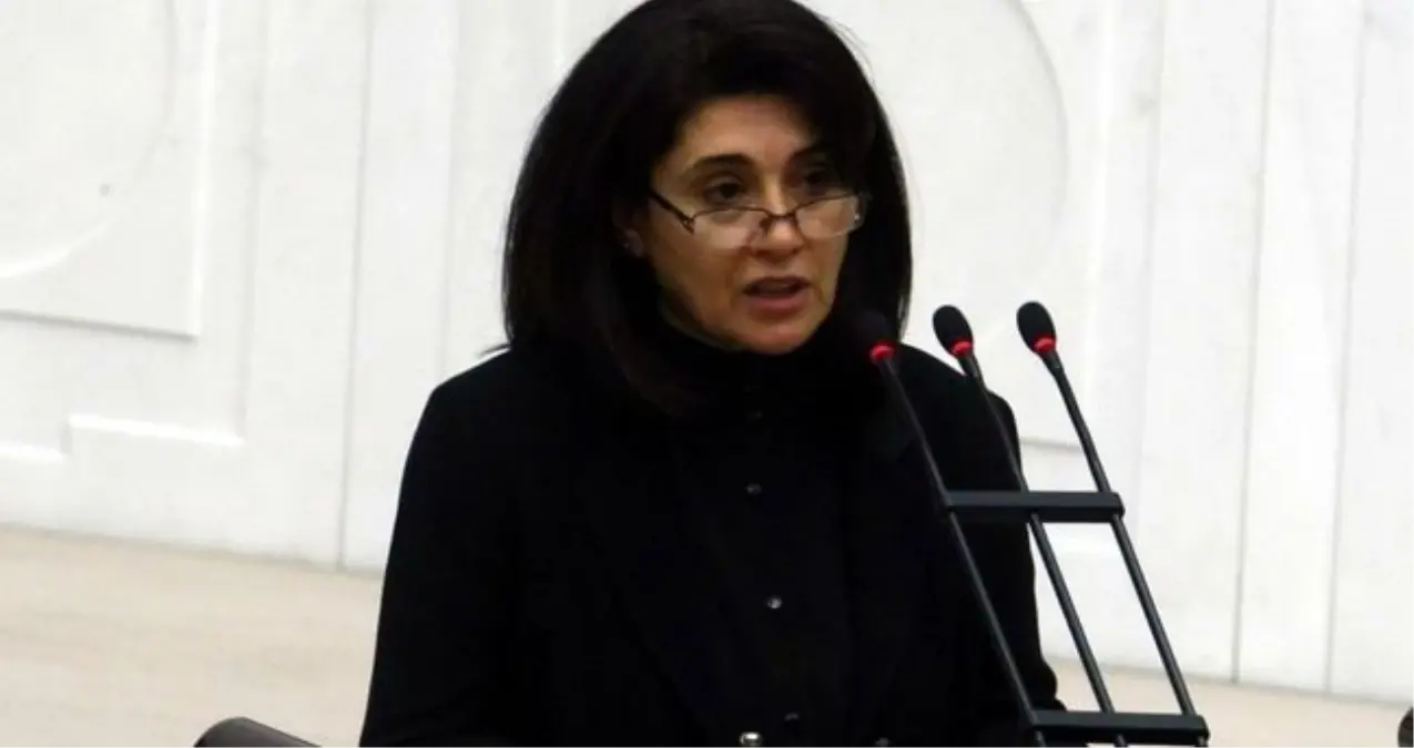 Leyla Zana olayı nedir?