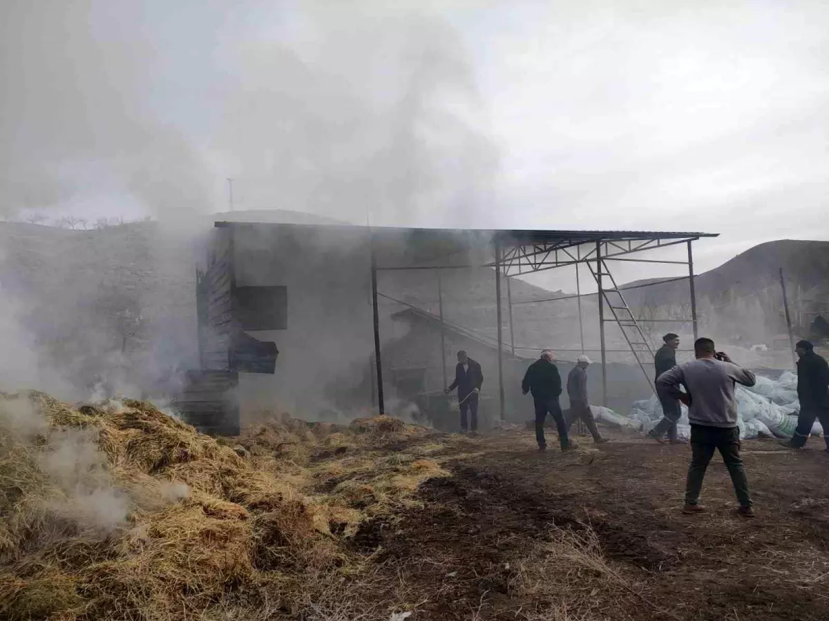 Malatya'da besi çiftliğinde yangın