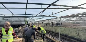 Malatya'dan Türkmenistan'a 50 bin fidan desteği