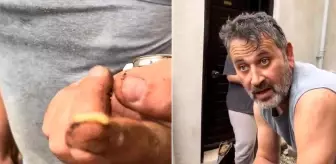 Uzak Doğu değil Karadeniz! Ağaç kurdunu tek hamlede yedi