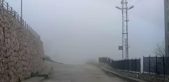 Amasya'da sis etkili oldu