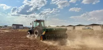 Bozkırda kuraklığa dayanıklı 25 çeşit yerli ürünün demonstrasyon ekimi yapıldı