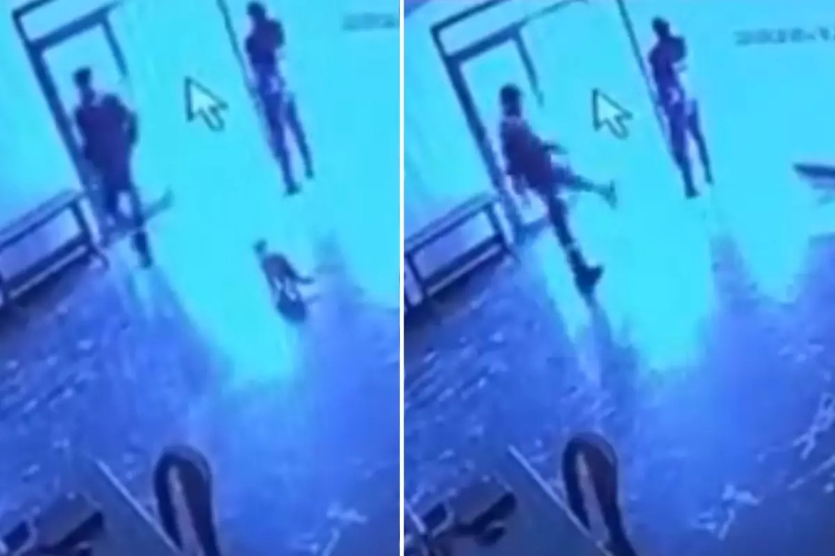 Kediye tekme attı, o anlar kameraya yansıdı