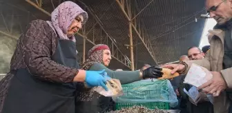 Sakarya'da festivalde katılımcılara 1 ton hamsi ikram edildi