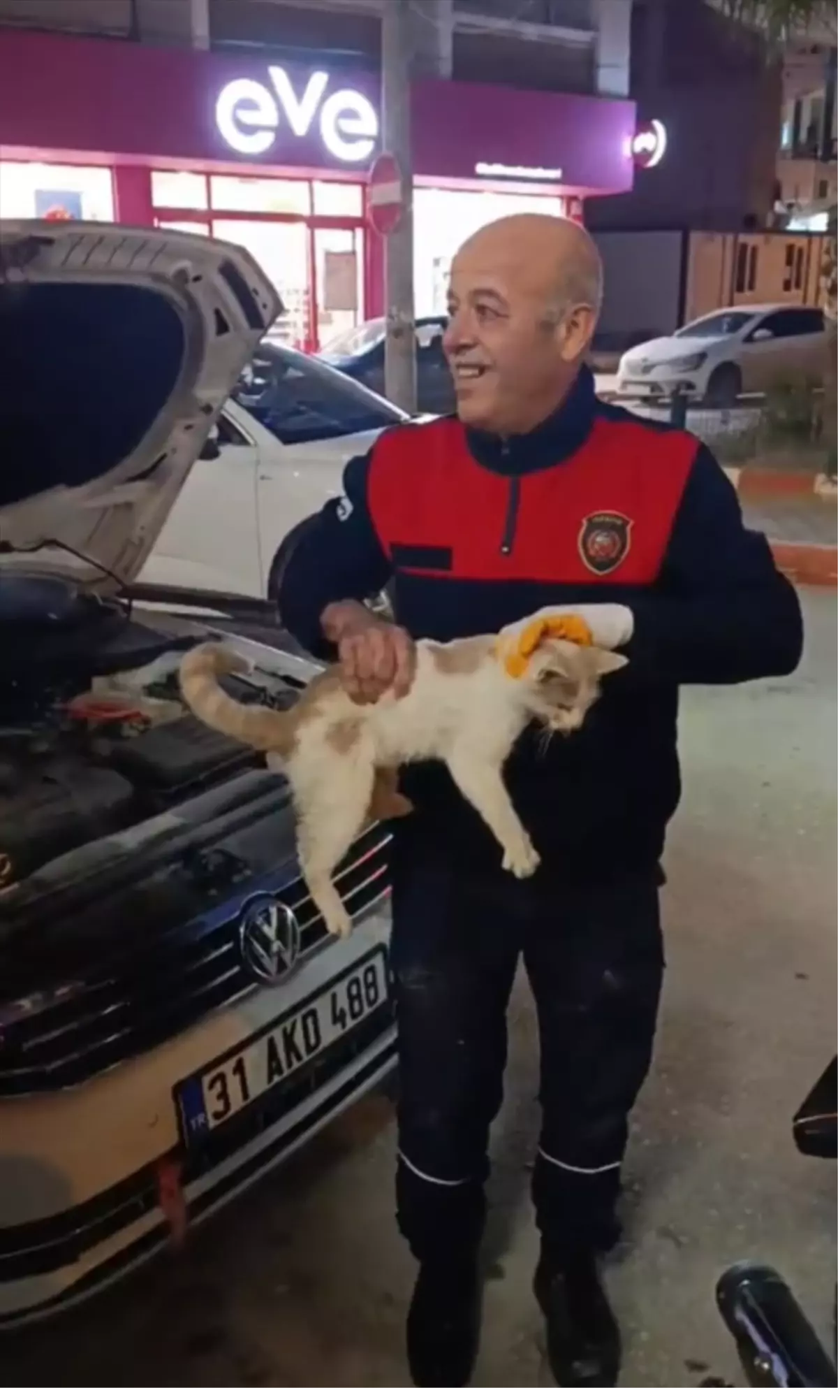 Samandağ'da otomobilin motor kısmına sıkışan kedi kurtarıldı