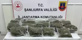 Şanlıurfa'da uyuşturucu operasyonunda 1 şüpheli yakalandı