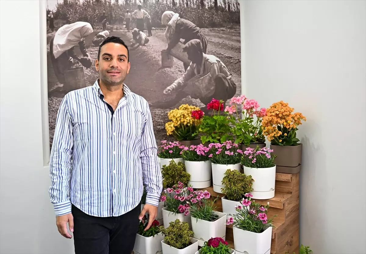 Sardunyanın yerli çeşitleri geliştirilerek sektöre kazandırılacak