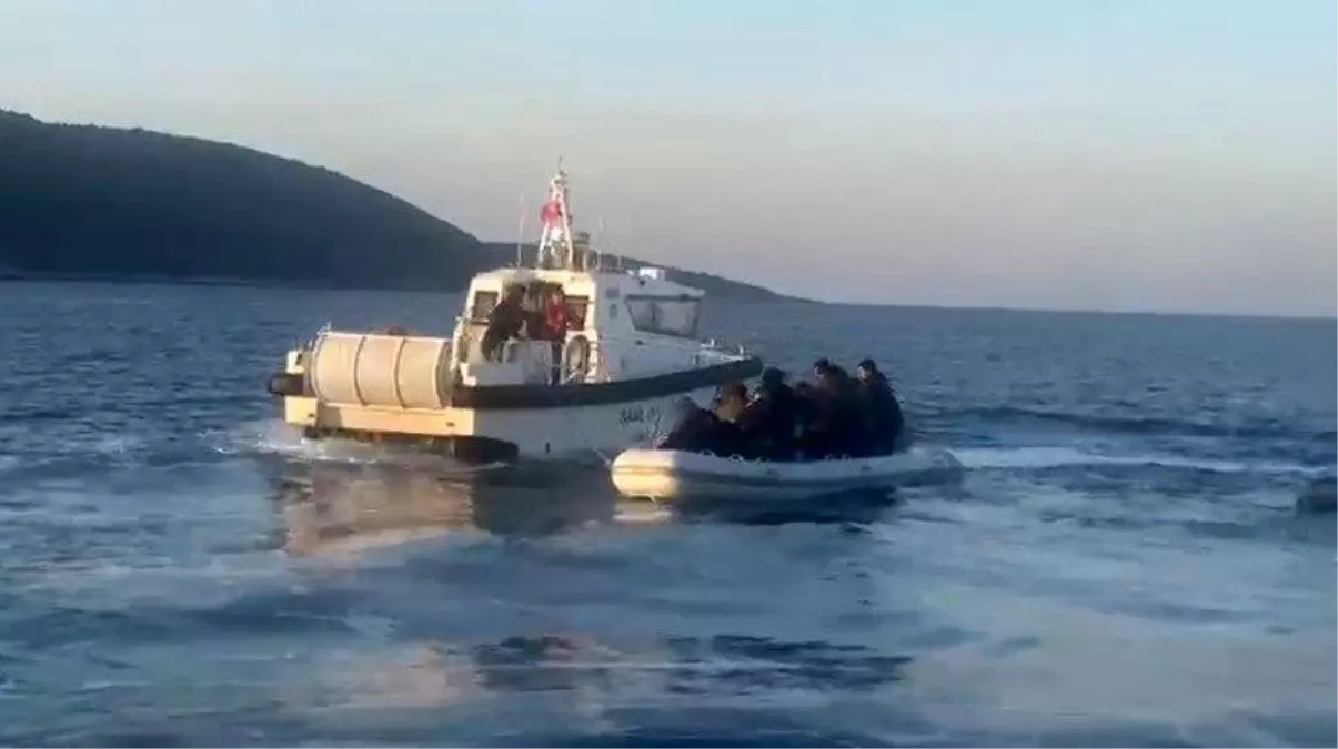 Aydın'da 12 düzensiz göçmen ve 1 göçmen kaçakçısı yakalandı